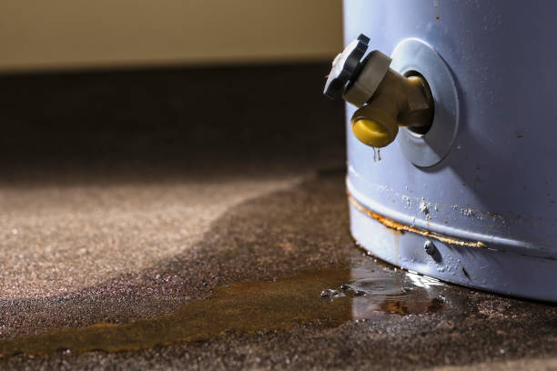Best Carpet water damage restoration  in Opelika, AL
