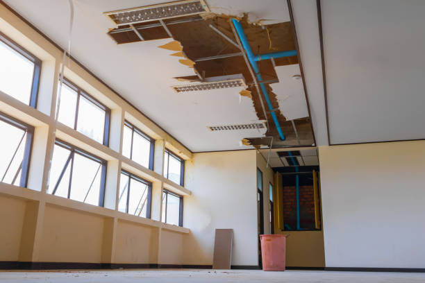 Best Local water damage restoration  in Opelika, AL