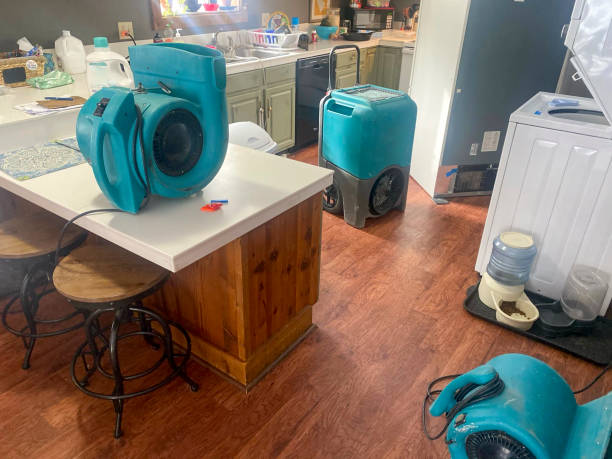 Water damage restoration insurance claims in AL