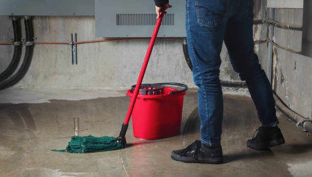 Best Basement water damage restoration  in Opelika, AL