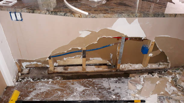 Best Water damage cleanup near me  in Opelika, AL