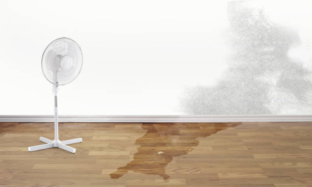 Best Sewage cleanup and water damage restoration  in Opelika, AL