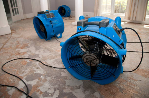 Best Emergency water extraction  in Opelika, AL