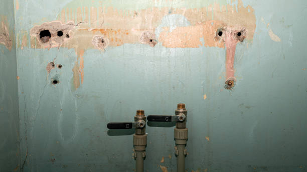 Best Water damage restoration insurance claims  in Opelika, AL