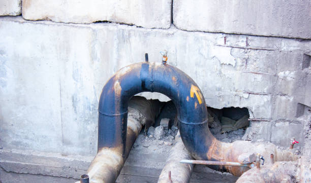 Best Water damage mitigation services  in Opelika, AL