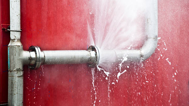 Best Flood restoration services  in Opelika, AL