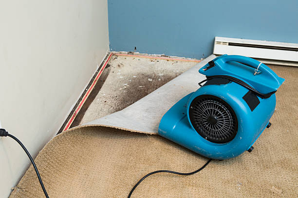 Best 24/7 water damage repair  in Opelika, AL